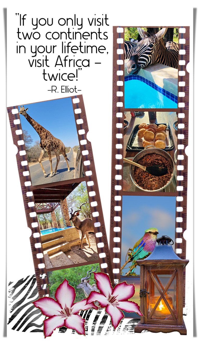 #thewildbunchsafarihouse