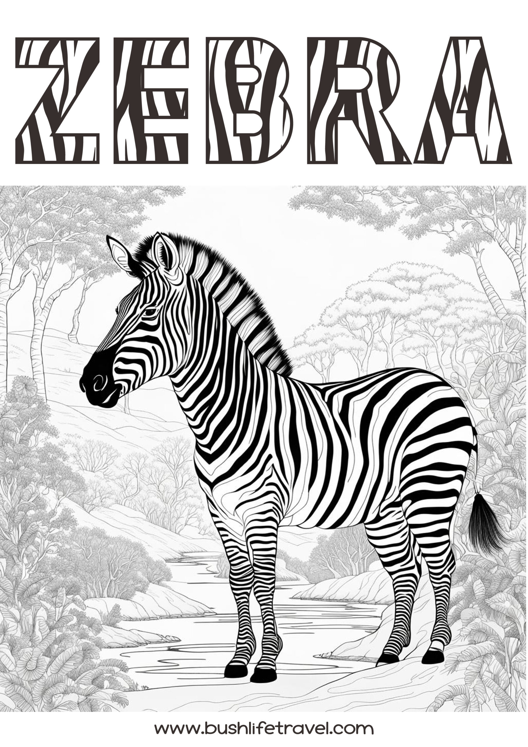 Zebra Coloring Page